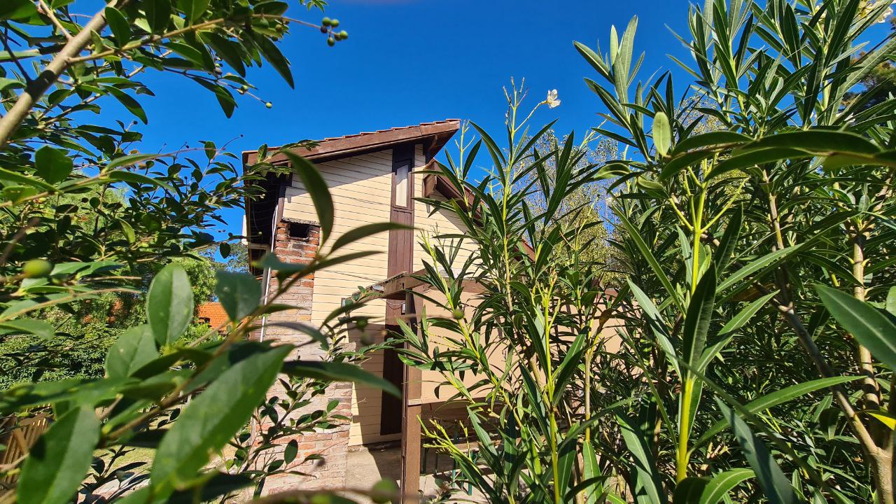 Cabaña rodeada de árboles y vegetación en el complejo