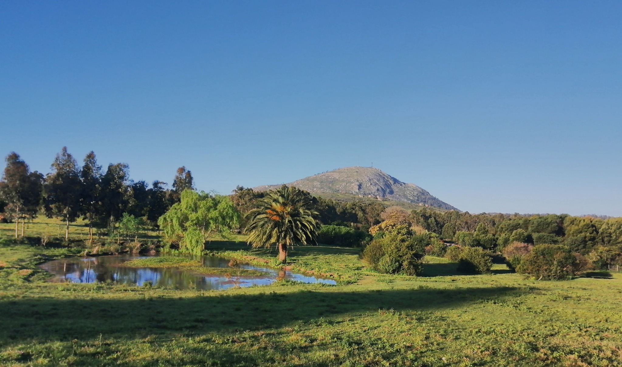 Cerro Pan de Azúcar detrás de un paisaje verde