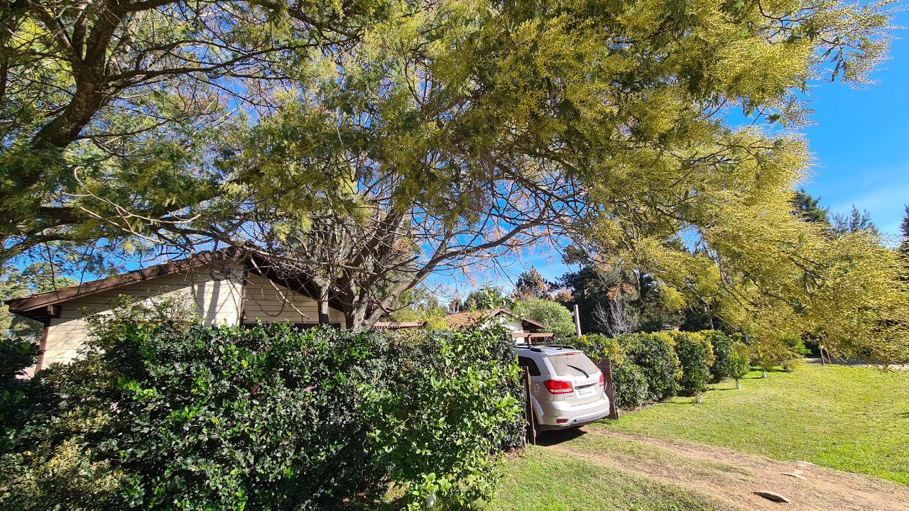 Sendero arbolado entre las cabañas y jardines del complejo